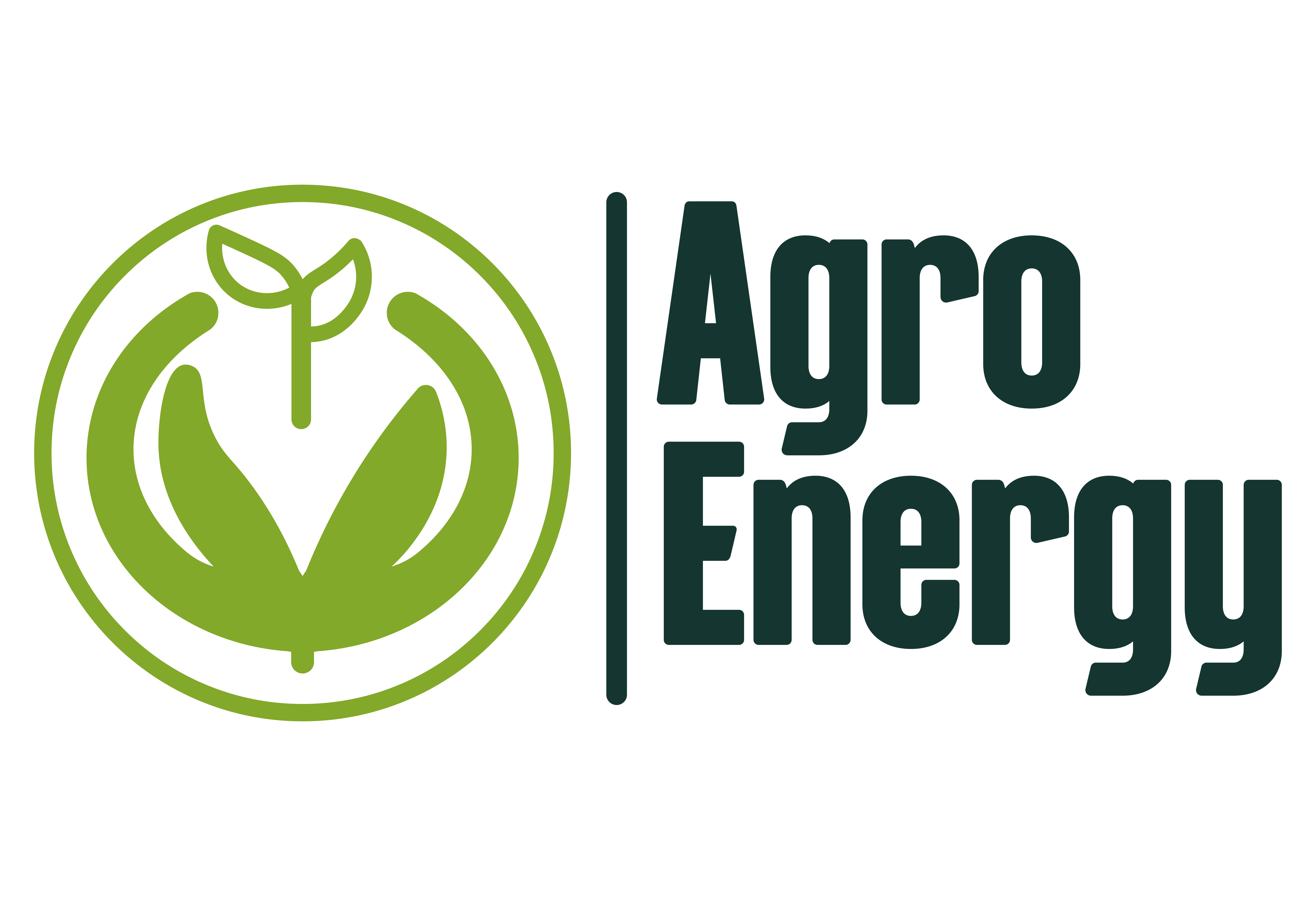 AgroEnergy Systems